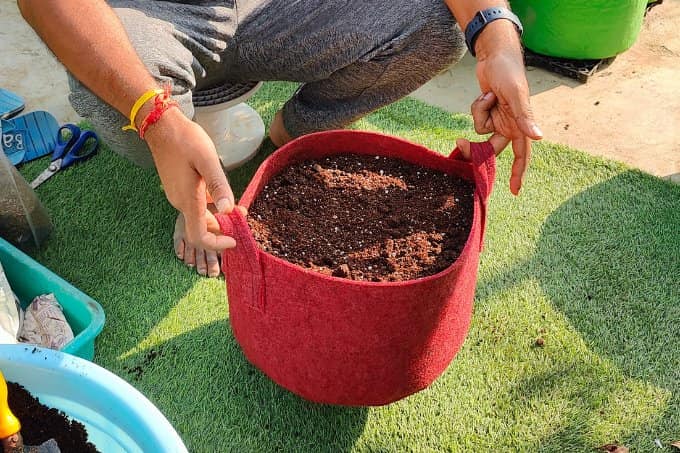 मिट्टी तैयार करके गमले में भरें - Fill A Pot Or Grow Bag With Seed Starting Soil Mix In Hindi